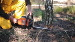 Soil Testing and Treatment in Mannford, OK