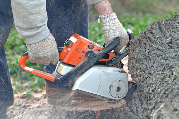 Best Firewood Processing and Delivery  in Mannford, OK